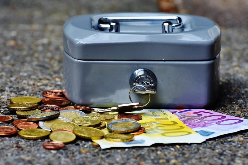 Travel Wallet
